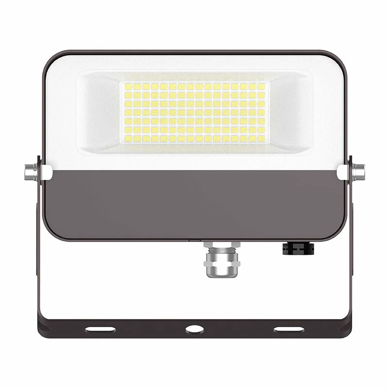 Dust - Resistant Industrial Lighting for Dirty WorkspacesLFE 30W LED Flood Light with U Bracket, CCT Dust - Resistant Industrial Lighting for Dirty WorkspacesLFE 30W LED Flood Light with U Bracket, CCT