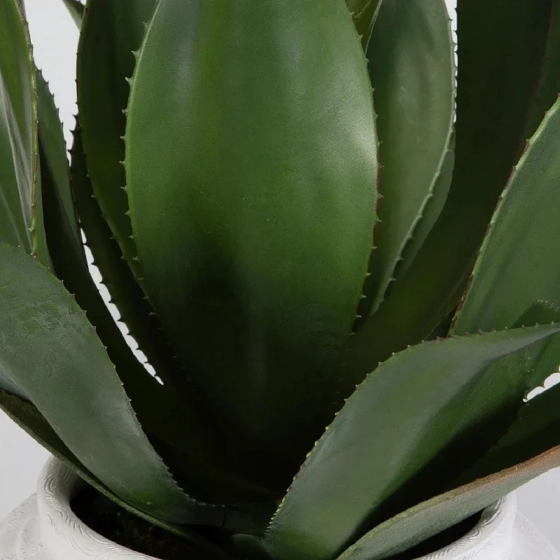Track lighting with a brushed nickel finishTierra Agave Centerpiece With Vase