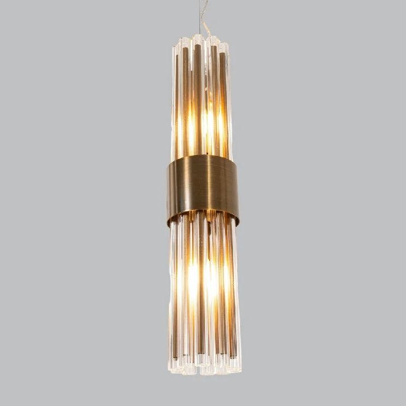 Modern track lighting with LED bulbsIves Brass/Nickel Finish Pendant G9