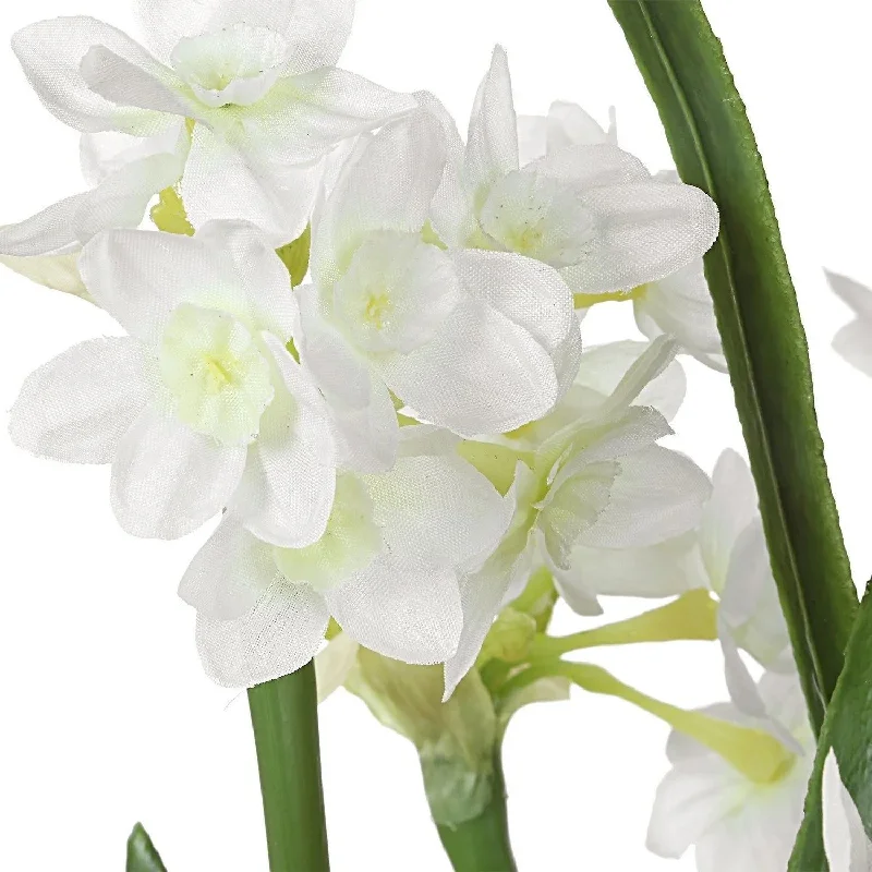 Track lighting with a minimalist track designLacey Daffodil Accent Arrangement
