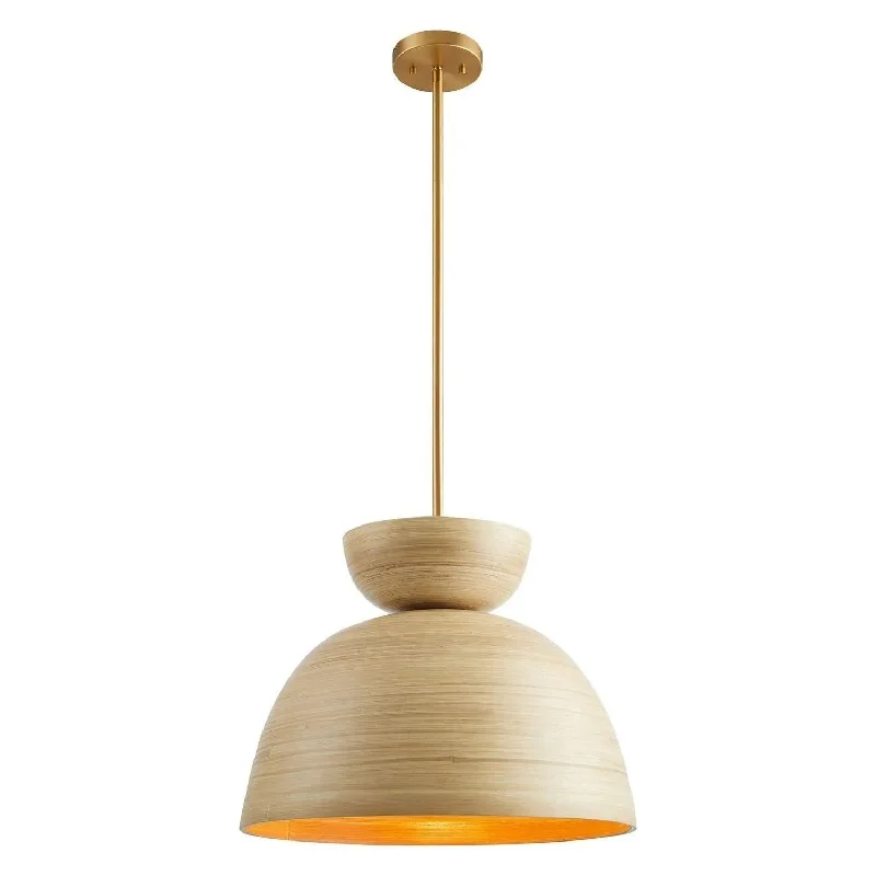 Track lighting with integrated LED driversAgave Pendant