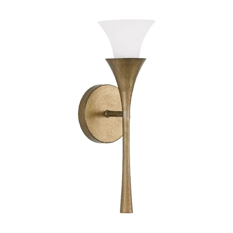 Adjustable track lighting for living roomsNola Wall Sconce