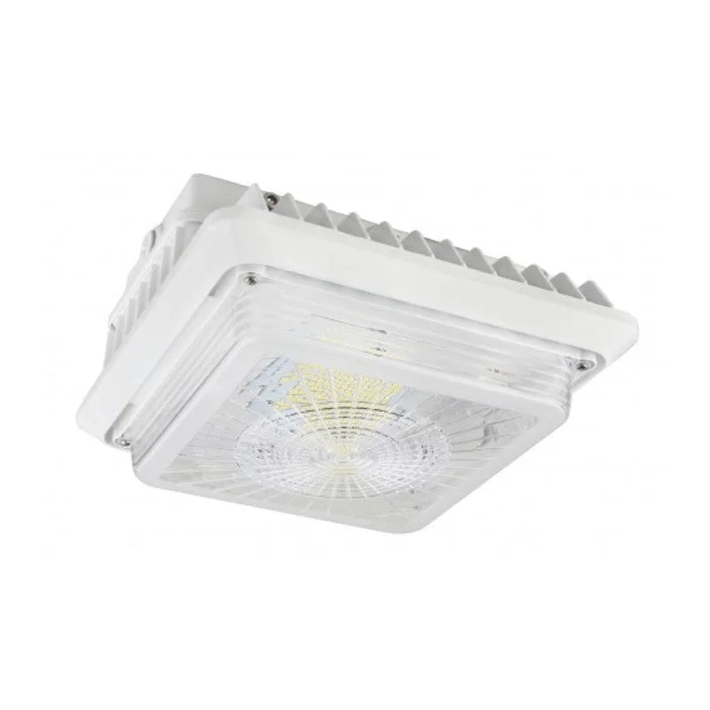 Industrial Lighting for Furniture FactoriesCGL 100W LED Garage/Canopy Light