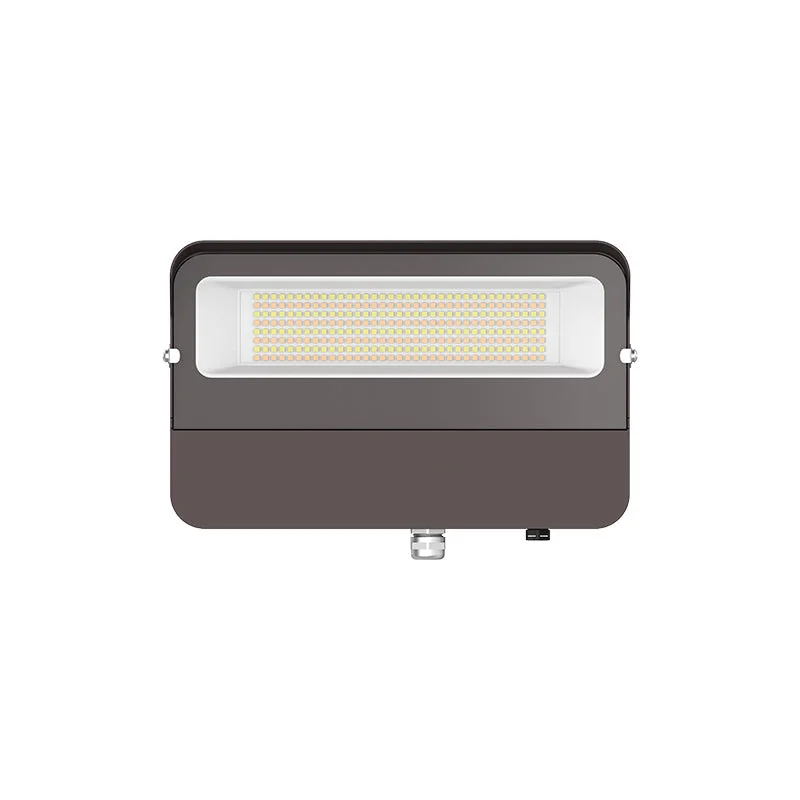 Explosion - Proof Industrial Lighting for Hazardous LocationsLFE 80W LED Flood Light, CCT Explosion - Proof Industrial Lighting for Hazardous LocationsLFE 80W LED Flood Light, CCT
