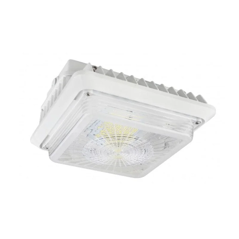 Corrosion - Resistant Industrial Lighting for Coastal FactoriesCGL 55W LED Garage/Canopy Light Corrosion - Resistant Industrial Lighting for Coastal FactoriesCGL 55W LED Garage/Canopy Light