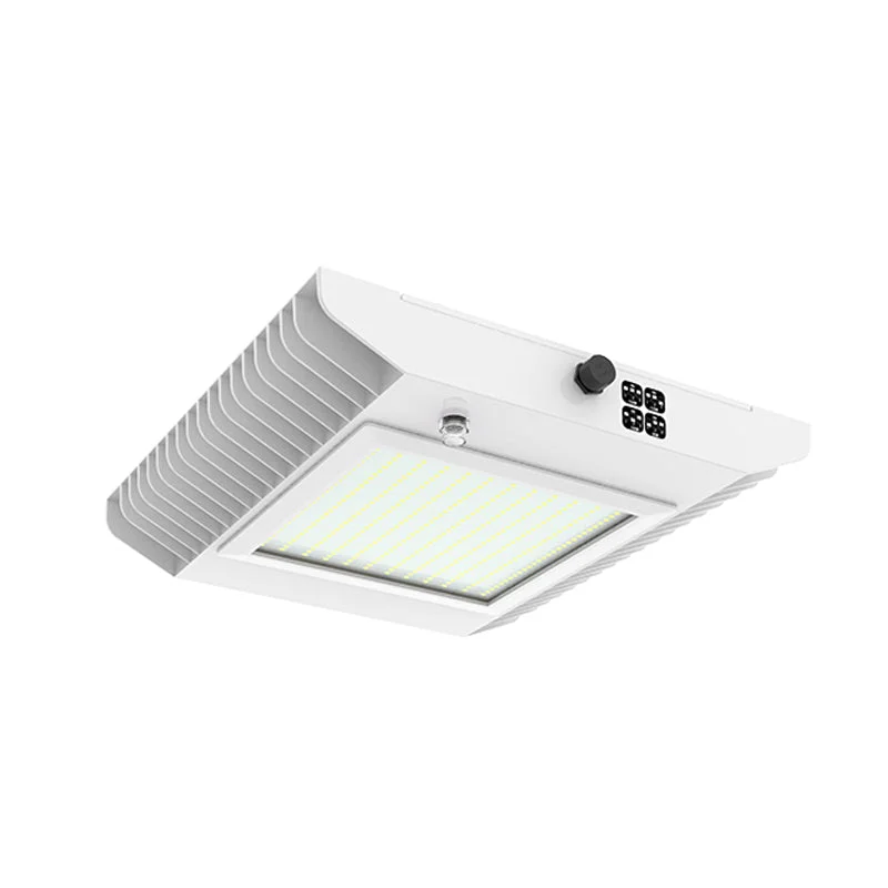 Dimmable Industrial Lighting for Ambiance ControlGSX 80W/100W/120W/150W LED Surface Mount Canopy Light Dimmable Industrial Lighting for Ambiance ControlGSX 80W/100W/120W/150W LED Surface Mount Canopy Light