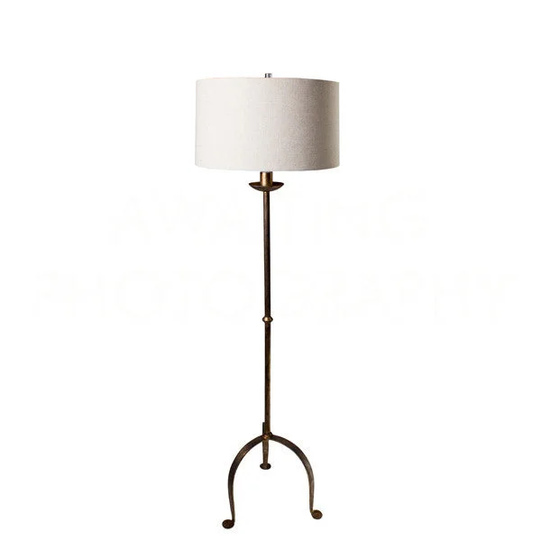 Industrial Style Floor Lamp with Exposed Bulbs for Loft ApartmentsIndustrial Style Floor Lamp with Exposed Bulbs for Loft ApartmentsAidan Gray Home L291 Floor Lamp Lamp Bronze / Dark Industrial Style Floor Lamp with Exposed Bulbs for Loft ApartmentsIndustrial Style Floor Lamp with Exposed Bulbs for Loft ApartmentsAidan Gray Home L291 Floor Lamp Lamp Bronze / Dark