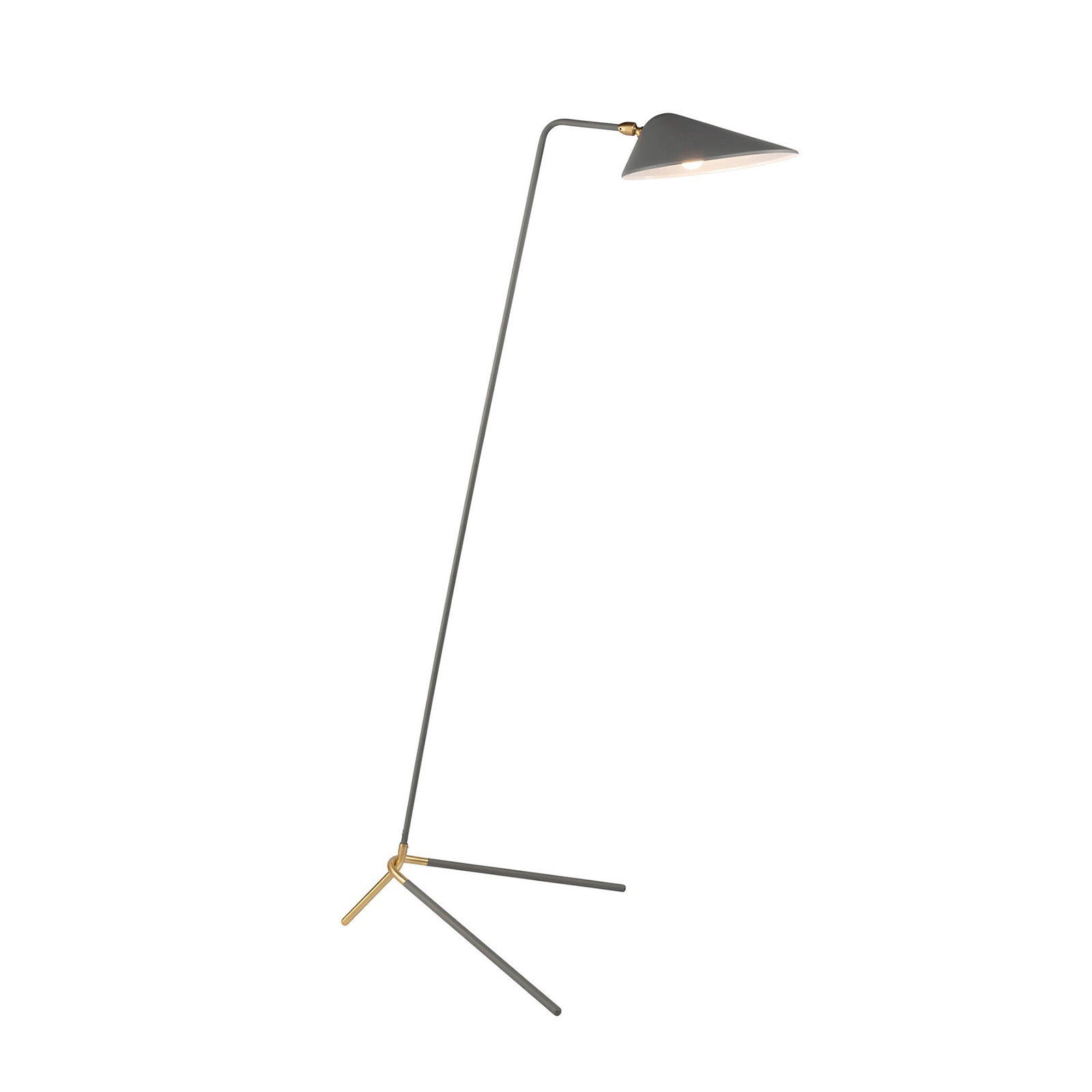 Glass Floor Lamp with Frosted Shades for Soft Diffused LightGlass Floor Lamp with Frosted Shades for Soft Diffused LightAnika Floor Lamp
